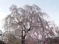 常泉寺(神奈川県)