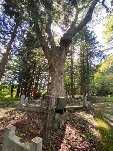 三嶽神社の自然