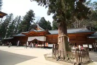 穂高神社本宮の本殿・本堂