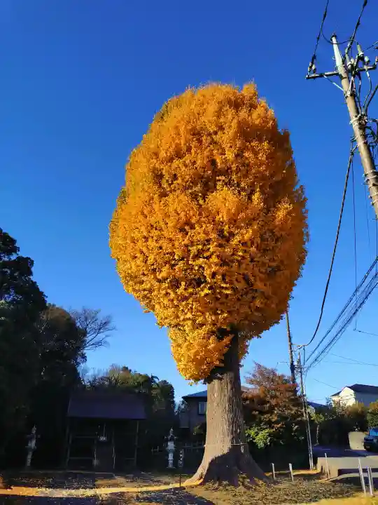 神明社の{uncategorized: "未分類", other: "その他", undefined: "問題あり", building: "その他建物", grave: "お墓", sacred_gate: "鳥居", guardian: "狛犬", statue: "像", buddha: "仏像", history: "歴史", nature: "自然", garden: "庭園", animal: "動物", pagoda: "塔", temizu: "手水舎", mountain_gate: "山門・神門", sanctuary: "本殿・本堂", subordinate: "末社・摂社", art: "芸術", scenery: "景色", jizo: "地蔵", ema: "絵馬", goshuin: "御朱印", omikuji: "おみくじ", items: "授与品その他", amulet: "お守り", goshuincho: "御朱印帳", eats: "食事", festival: "お祭り", votive_dance: "神楽", shichigosan: "七五三参", wedding: "結婚式", experience: "体験その他", initially: "初詣", around: "周辺", anti_infection: "感染症対策"}