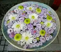 行田八幡神社(埼玉県)