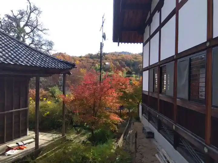 大安禅寺(福井県)
