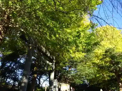 葛原岡神社の自然
