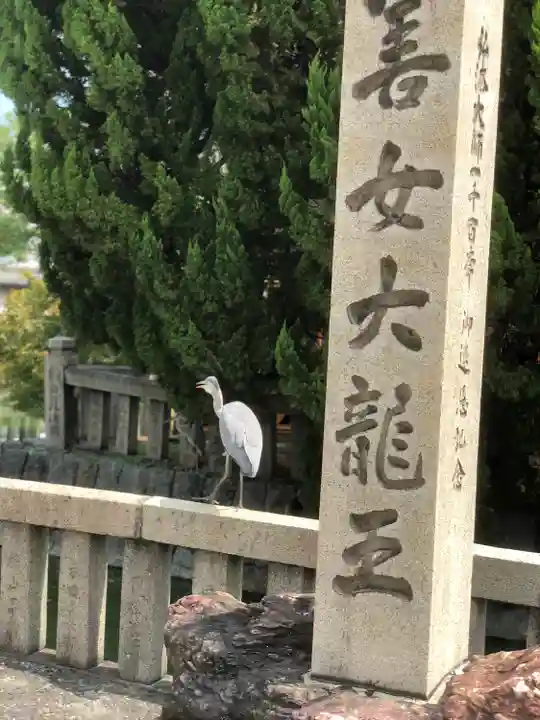 東寺(教王護国寺)(京都府)