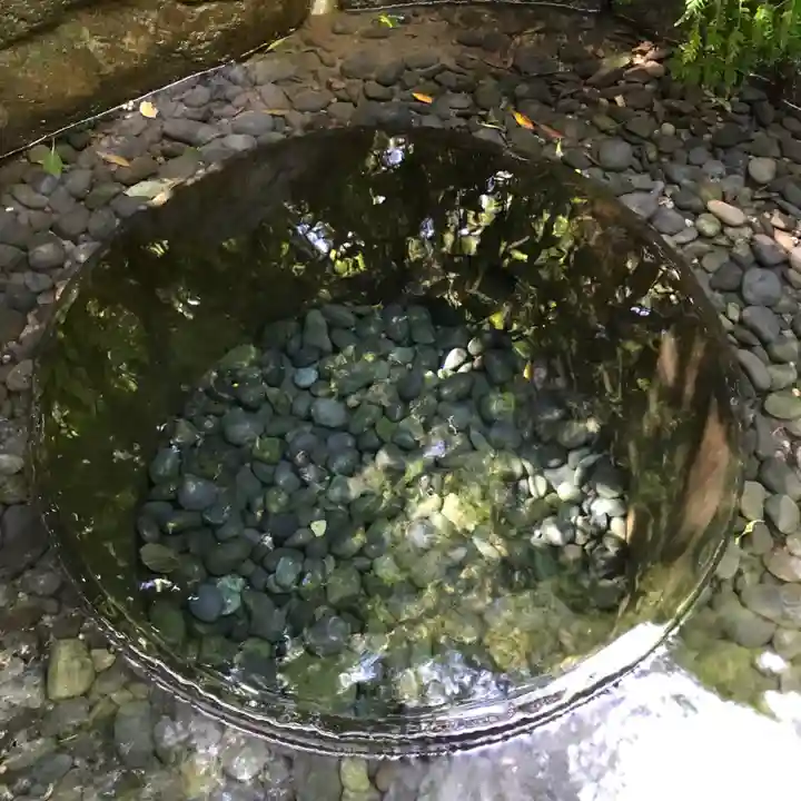 明治神宮の庭園