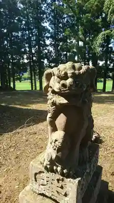 白幡神社の狛犬