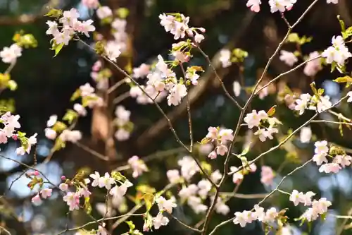磐椅神社(福島県)