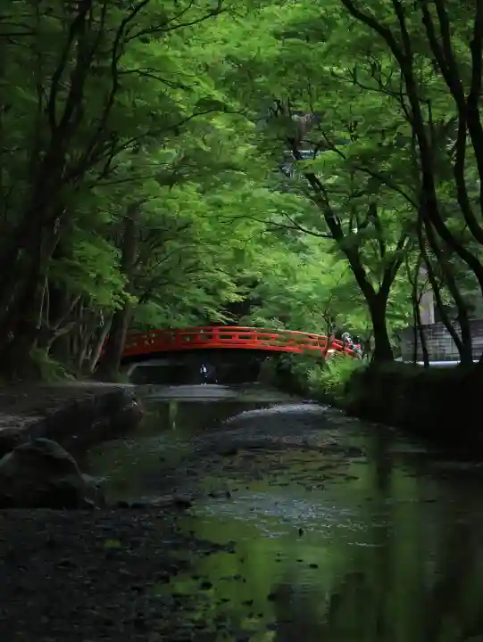 小國神社の{uncategorized: "未分類", other: "その他", undefined: "問題あり", building: "その他建物", grave: "お墓", sacred_gate: "鳥居", guardian: "狛犬", statue: "像", buddha: "仏像", history: "歴史", nature: "自然", garden: "庭園", animal: "動物", pagoda: "塔", temizu: "手水舎", mountain_gate: "山門・神門", sanctuary: "本殿・本堂", subordinate: "末社・摂社", art: "芸術", scenery: "景色", jizo: "地蔵", ema: "絵馬", goshuin: "御朱印", omikuji: "おみくじ", items: "授与品その他", amulet: "お守り", goshuincho: "御朱印帳", eats: "食事", festival: "お祭り", votive_dance: "神楽", shichigosan: "七五三参", wedding: "結婚式", experience: "体験その他", initially: "初詣", around: "周辺", anti_infection: "感染症対策"}