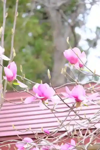 仁木神社の自然