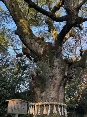 熱田神宮(愛知県)