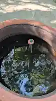 丸山観音寺(福岡県)