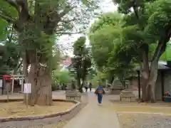 鳩森八幡神社の建物その他