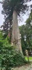 熱日高彦神社の周辺