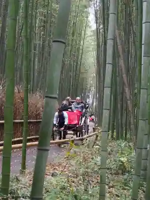 野宮神社(京都府)