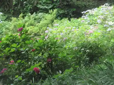 長壽寺（長寿寺）(神奈川県)