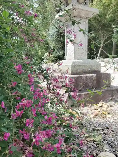 沙沙貴神社の自然