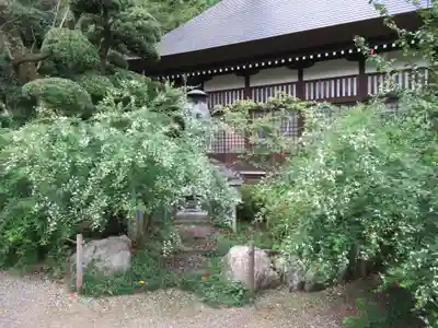 大悲願寺(東京都)