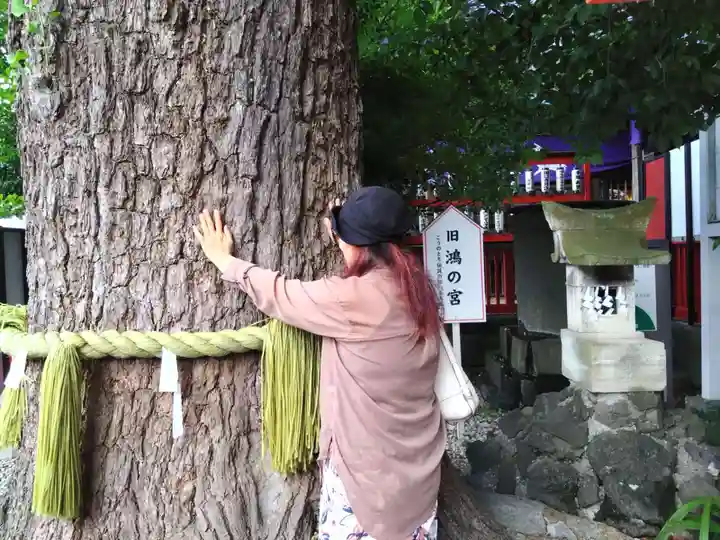 鴻神社(埼玉県)