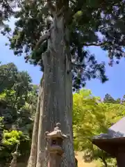 普門寺(切り絵御朱印発祥の寺)(愛知県)