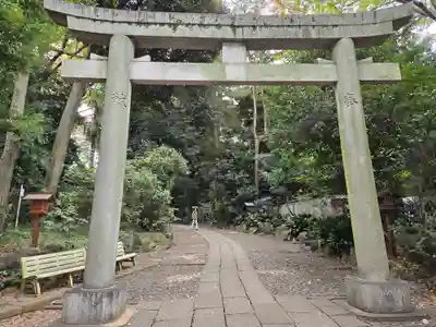 代々木八幡宮の鳥居