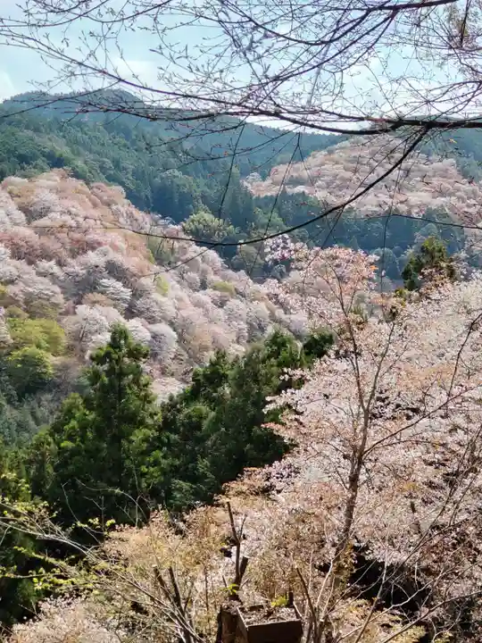 𠮷水神社(吉水神社)(奈良県)