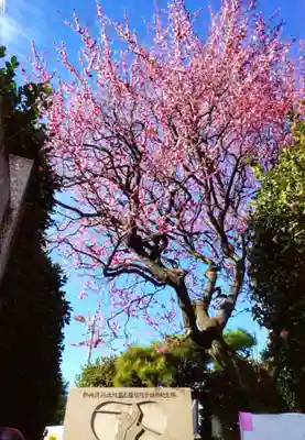 新井天神北野神社(東京都)