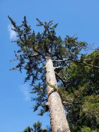 滑川神社 - 仕事と子どもの守り神の自然