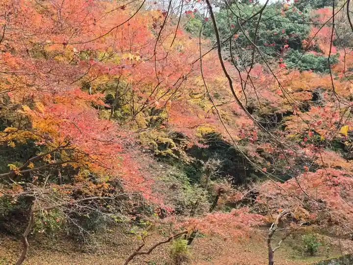 延命寺(大阪府)