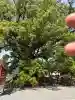 蒲生八幡神社の{uncategorized: "未分類", other: "その他", undefined: "問題あり", building: "その他建物", grave: "お墓", sacred_gate: "鳥居", guardian: "狛犬", statue: "像", buddha: "仏像", history: "歴史", nature: "自然", garden: "庭園", animal: "動物", pagoda: "塔", temizu: "手水舎", mountain_gate: "山門・神門", sanctuary: "本殿・本堂", subordinate: "末社・摂社", art: "芸術", scenery: "景色", jizo: "地蔵", ema: "絵馬", goshuin: "御朱印", omikuji: "おみくじ", items: "授与品その他", amulet: "お守り", goshuincho: "御朱印帳", eats: "食事", festival: "お祭り", votive_dance: "神楽", shichigosan: "七五三参", wedding: "結婚式", experience: "体験その他", initially: "初詣", around: "周辺", anti_infection: "感染症対策"}
