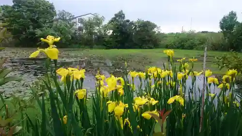 青龍神社の自然