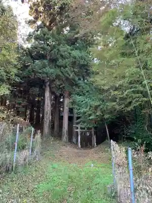 菊理神社(千葉県)