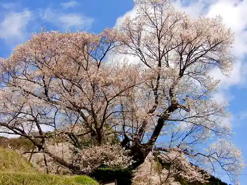 仏隆寺(奈良県)