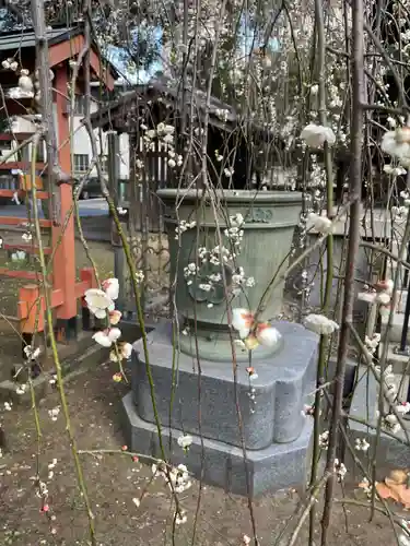 川口神社(埼玉県)