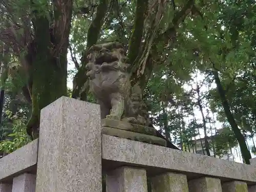 弓削神社の狛犬