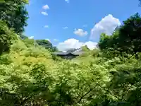 東福禅寺(東福寺)(京都府)