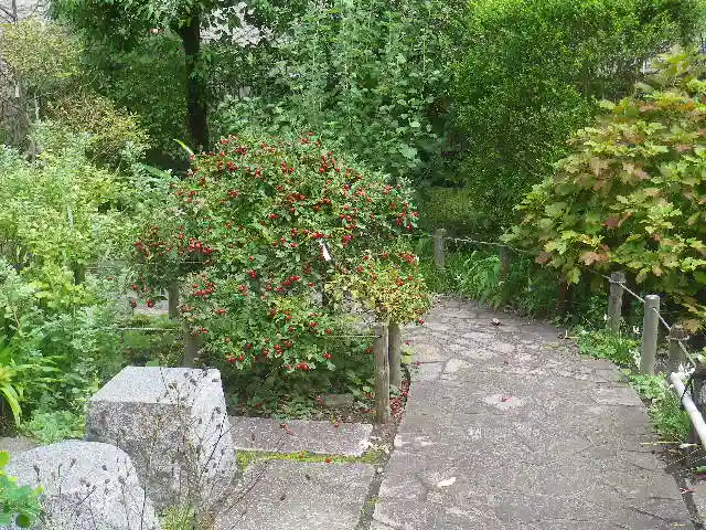 大巧寺のその他建物