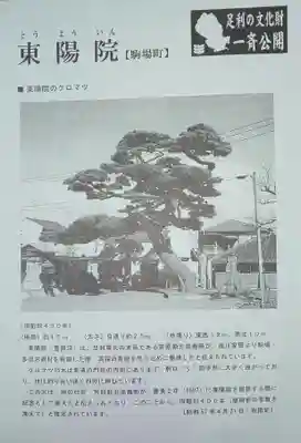 東陽院の授与品その他