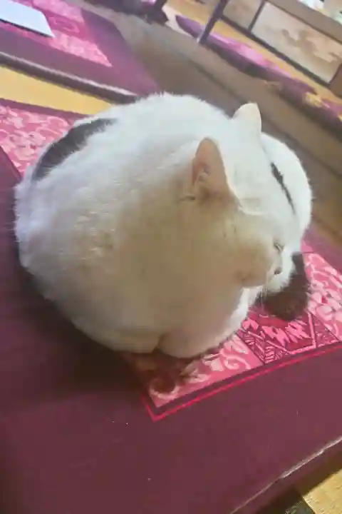 風巻神社(新潟県)