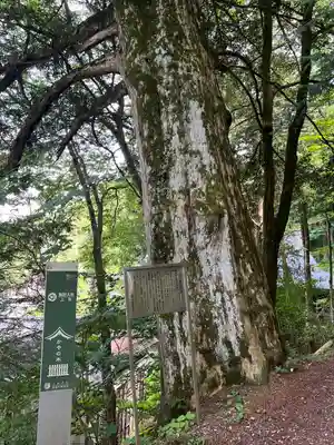 諏訪大社(長野県)