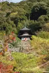 禅林寺（永観堂）の建物その他