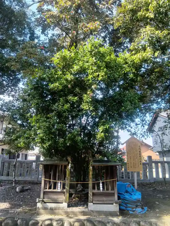 御井神社(岐阜県)