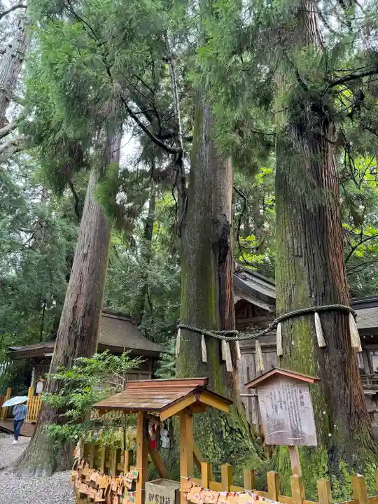 高千穂神社(宮崎県)