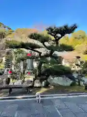 伊勢の国 四天王寺の庭園