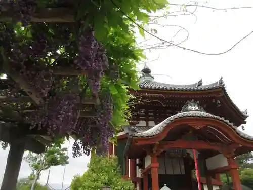 興福寺 南円堂の本殿