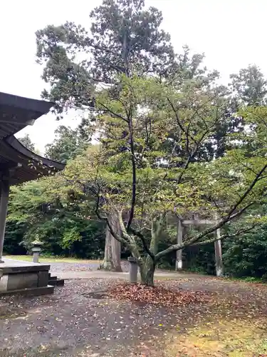 鳥海山大物忌神社吹浦口ノ宮の庭園