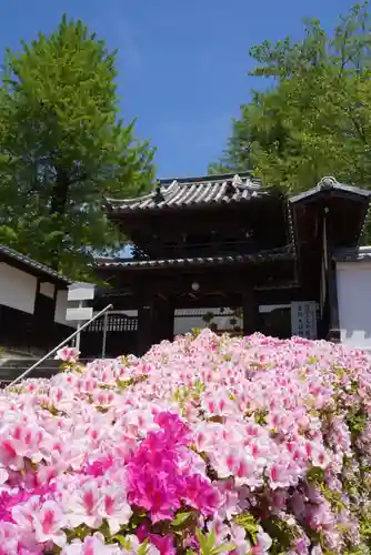 宝厳寺(愛媛県)