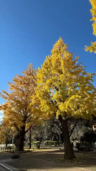 靖國神社(東京都)