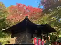 普門寺(切り絵御朱印発祥の寺)の自然