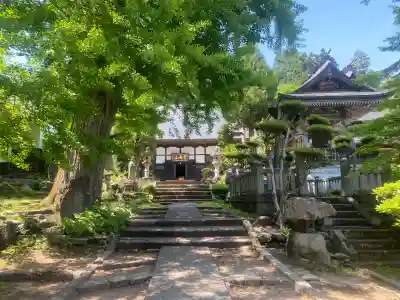 珍蔵寺 の{uncategorized: "未分類", other: "その他", undefined: "問題あり", building: "その他建物", grave: "お墓", sacred_gate: "鳥居", guardian: "狛犬", statue: "像", buddha: "仏像", history: "歴史", nature: "自然", garden: "庭園", animal: "動物", pagoda: "塔", temizu: "手水舎", mountain_gate: "山門・神門", sanctuary: "本殿・本堂", subordinate: "末社・摂社", art: "芸術", scenery: "景色", jizo: "地蔵", ema: "絵馬", goshuin: "御朱印", omikuji: "おみくじ", items: "授与品その他", amulet: "お守り", goshuincho: "御朱印帳", eats: "食事", festival: "お祭り", votive_dance: "神楽", shichigosan: "七五三参", wedding: "結婚式", experience: "体験その他", initially: "初詣", around: "周辺", anti_infection: "感染症対策"}