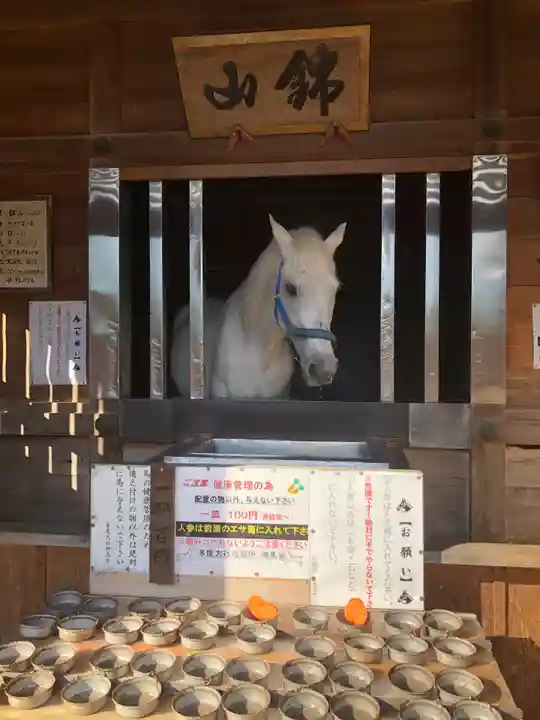 多度大社の動物